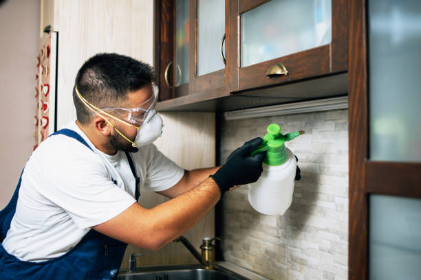 Best Pest Control for Businesses  in Pinckney, MI