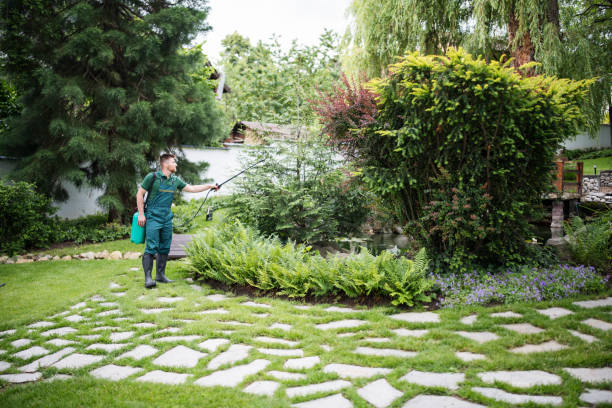 Best Mosquito Control Services  in Pinckney, MI