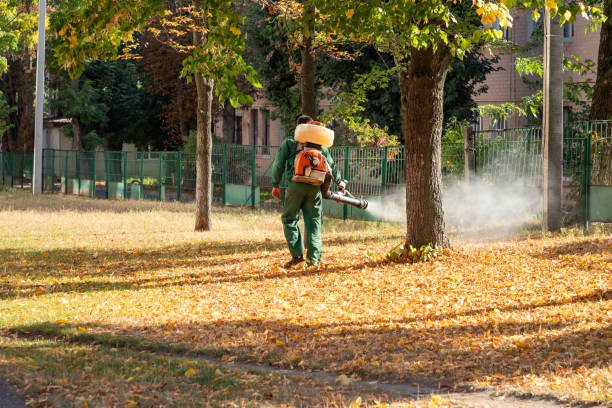 Professional Pest Control in Pinckney, MI