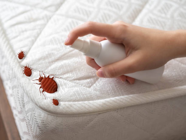 Best Emergency Pest Control  in Pinckney, MI